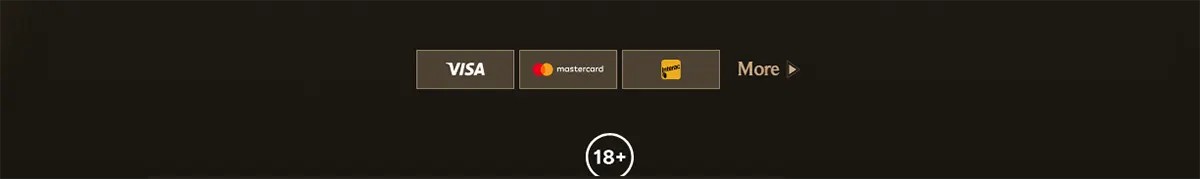 Payment methods footer with Visa, Mastercard, and Maestro icons, a “More” link, and an 18+ badge on a dark background.
